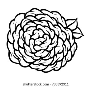 Flower rose, black and white. Isolated on white background. Vector illustration.