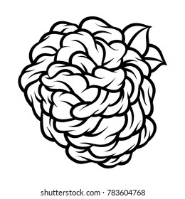 Flower rose, black and white. Isolated on white background. Vector illustration.