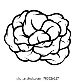 Flower rose, black and white. Isolated on white background. Vector illustration.