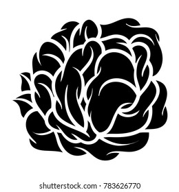 Flower rose, black and white. Isolated on white background. Vector illustration.