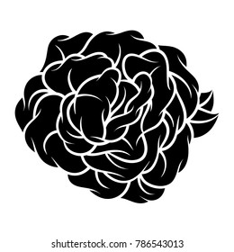 Flower rose, black and white. Isolated on white background. Vector illustration.