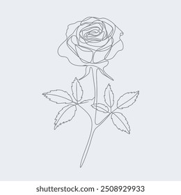 flor Rose contínua linha única arte desenho esboço vetor ilustração design minimalista