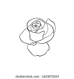 rosa flor dibujado en una línea continua, elemento botánico en estilo gráfico minimalista, icono de la naturaleza de moda. 