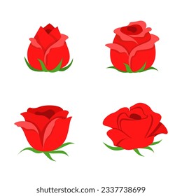 flower rose with good quality and good design