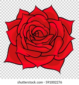 Flower rose. Isolated on transparent background. Vector illustration.