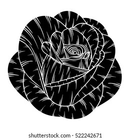 Flower rose. Isolated on white background. Vector illustration.