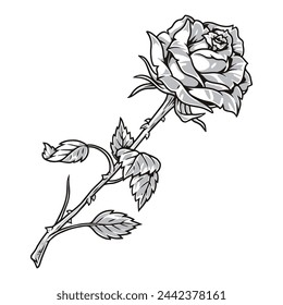 Flower rose monochrome detailed emblem with elegant plant on stem with thorns for use in gardening literature vector illustration