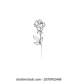 Flower rose in one line continuous style on white background. Vector design for valentine's day cards, wedding invitation, tattoo
