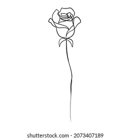 Flower rose in one line continuous style on white background