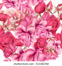 Flower rose pattern with vector realistic pink roses for design