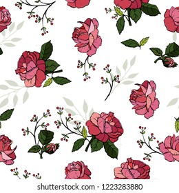 Flower rose pink, illustration isolated on white background. English roses seamless.