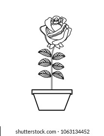 flower rose in a pot decoration icon
