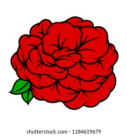 Flower rose, red buds and green leaves. Isolated on white background. Vector illustration.