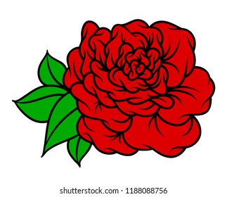 Flower rose, red buds and green leaves. Isolated on white background. Vector illustration.