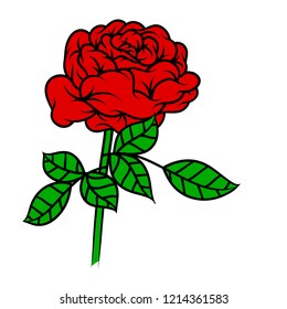 Flower rose, red buds and green leaves. Isolated on white background. Vector illustration.