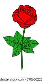 Flower rose, red buds and green leaves. Isolated on white background. Vector illustration.