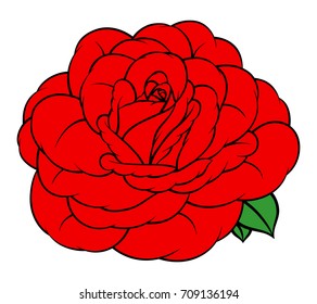 Flower rose, red buds and green leaves. Isolated on white background. Vector illustration.