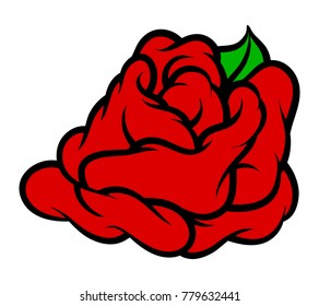 Flower rose, red buds and green leaves. Isolated on white background. Vector illustration.