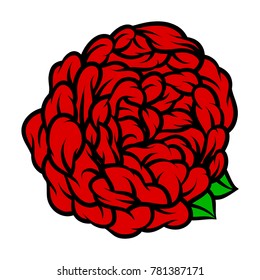 Flower rose, red buds and green leaves. Isolated on white background. Vector illustration.