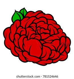 Flower rose, red buds and green leaves. Isolated on white background. Vector illustration.