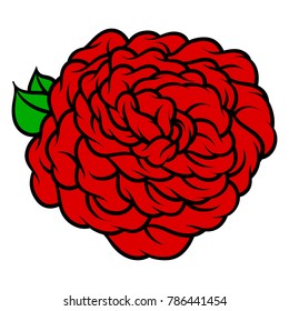 Flower rose, red buds and green leaves. Isolated on white background. Vector illustration.