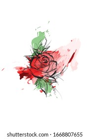 Flower Rose, sketch, painting. Hand drawing. Red bud, petals, stem and leaves. Yellow rose illustration. Red rose on a white background.