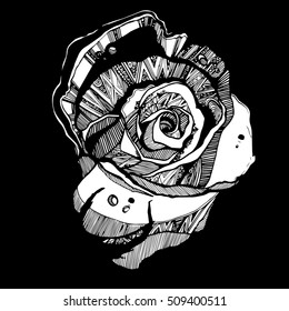 flower, rose, spring, summer, background, botanical, garden, art, nature