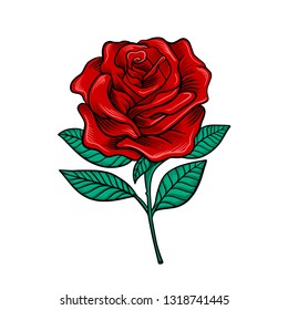 Flower Rose Vector 