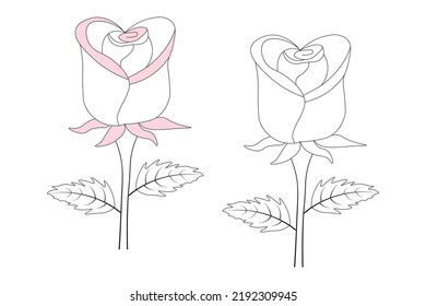 Flower Rose Vector Water Colour illustration, Vector of creative minimalist line art roes flower