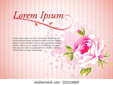 Flower Rose|Editable Illustration