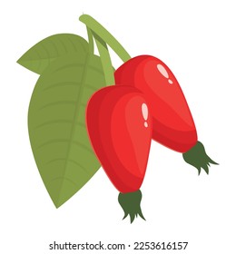 Flower rosehip icon cartoon vector. Berry food. Vitamin ripe