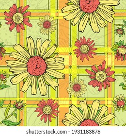 Flower rudbeckia. Garden and meadow plant rudbeckia. Seamless vector pattern with flowers, lines and geometry. Hand drawing.