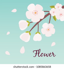 Flower Sakura Flying Blue Background Vector Image
