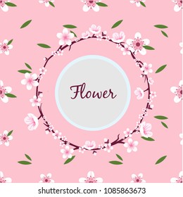 Flower Sakura Ring Circle Frame Pink Background Vector Image
