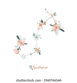 Flower Scorpion zodiac sign clip art isolated on white. Celestial floral daisy constellation vector illustration. Magical Boho spiritual bloomy astrological design.