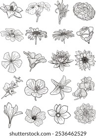 Flower seamles, seamless pattern, design seamles, 
printing, printed motifs