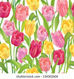 Flower seamless background. Flower tulips over white. Floral spring Vector pattern.