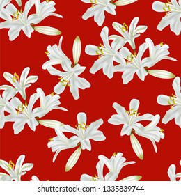 Flower seamless pattern with  agapanthus  vector illustration