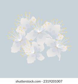 Planilla de impresión de fondo de flor de patrón sin fisuras. Una flor delicada y adorable, decorada con una flor blanca de color pastel. Diseño de arte mural