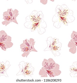 Flower seamless pattern with beautiful pink and white alstroemeria lily flowers on white background template. Vector set of blooming floral for wedding invitations and greeting card design.