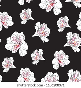 Flower seamless pattern with beautiful white and pink alstroemeria lily flowers on black background template.