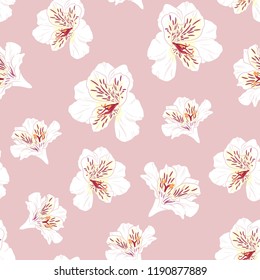 Flower seamless pattern with beautiful white alstroemeria lily flowers on pink background template. Vector set of blooming floral for wedding invitations and greeting card design. 