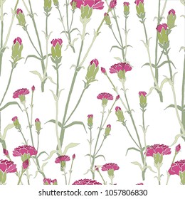 Flower seamless pattern. Carnation. Hand drawing
