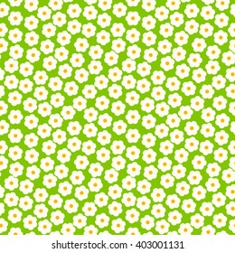 Flower seamless pattern. Cherry blossom spring pattern. Small daisies background print 