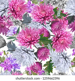 Flower seamless pattern of chrysanthemum purple and pink color,vector illustration