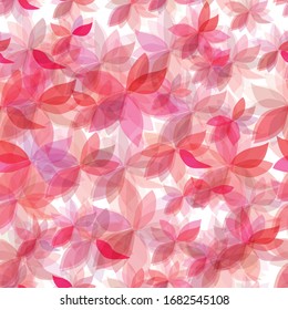 patrón floral transparente con hojas rosas