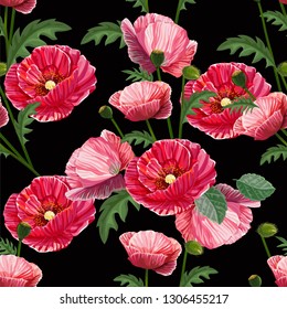 Flower seamless pattern with red poppy    - vector 