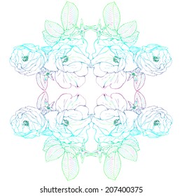 Flower seamless pattern rose on white background