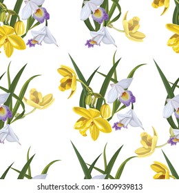 Flower seamless pattern vector illustration with yellow and white Orchid 