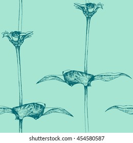 Flower seamless pattern.Vector illustration of Zinnia.